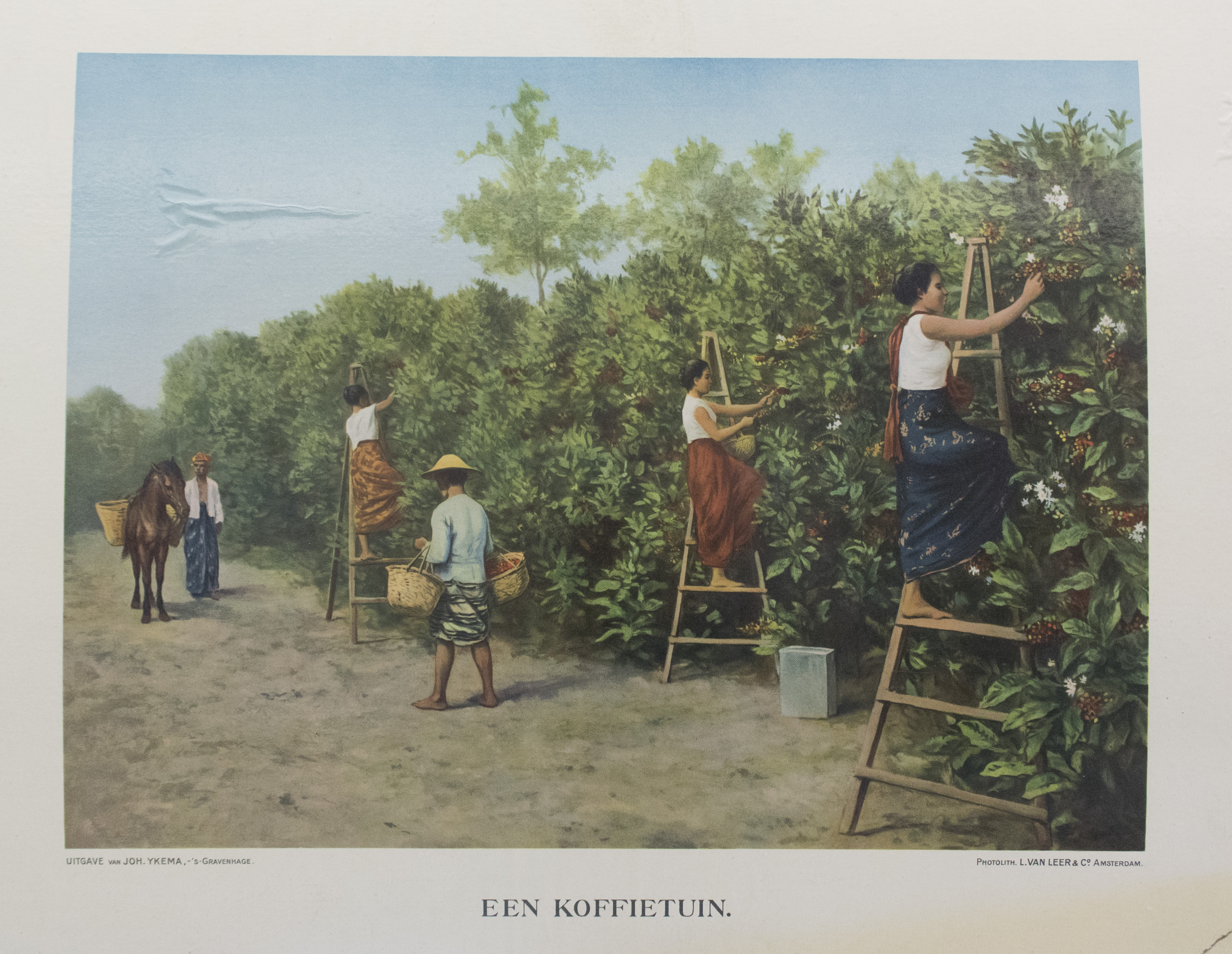 02 10 2015 12 24 07 koffietuin