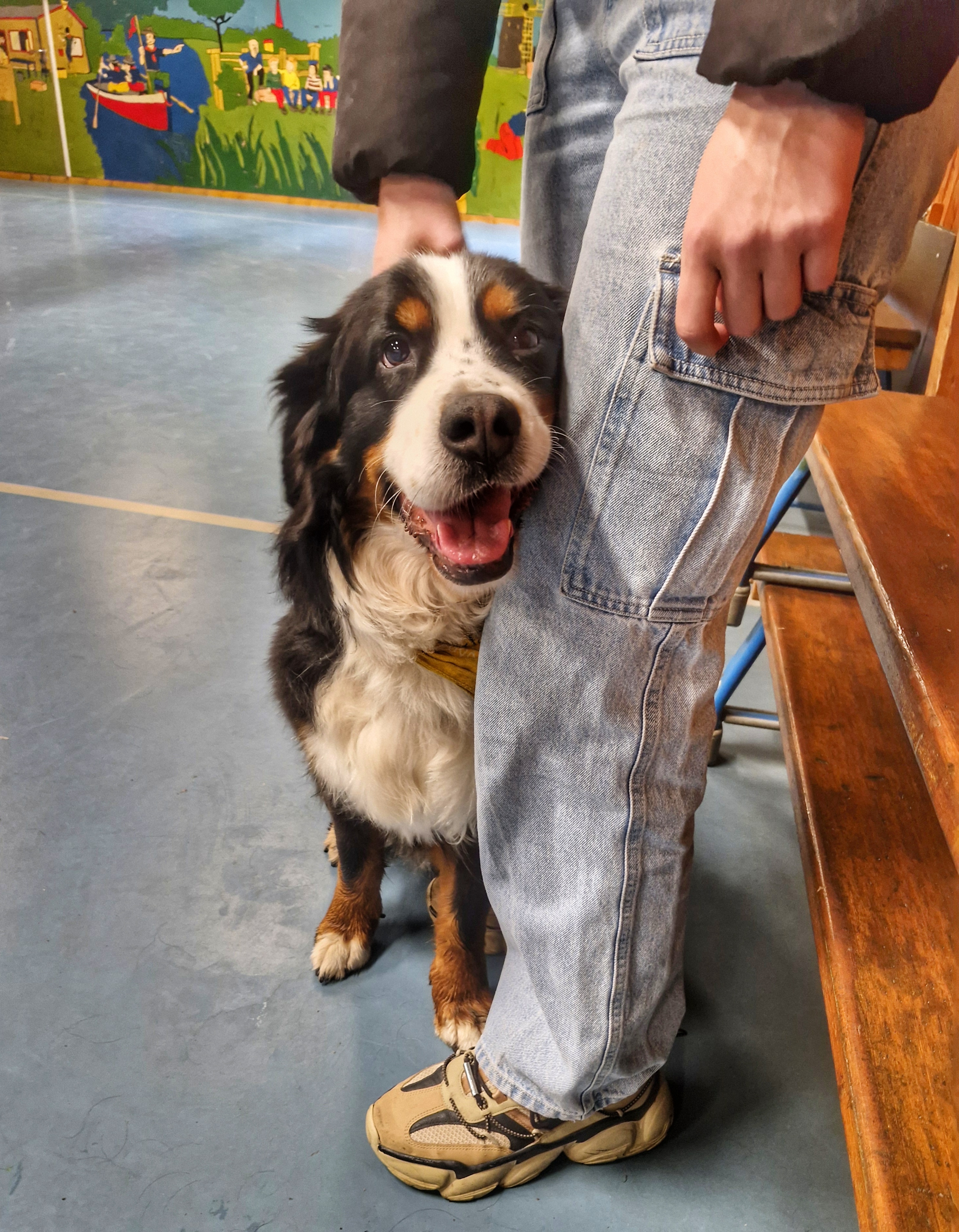 Hondencoach man met hond