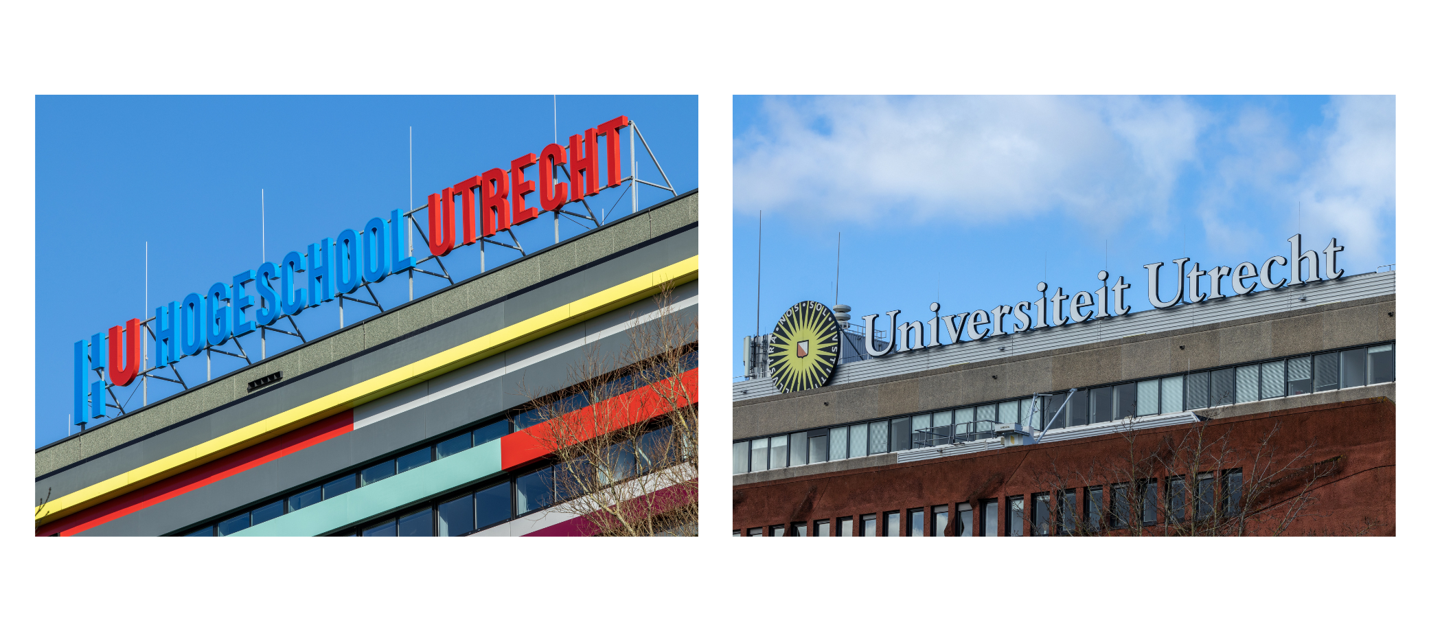 Ontwerp zonder titel