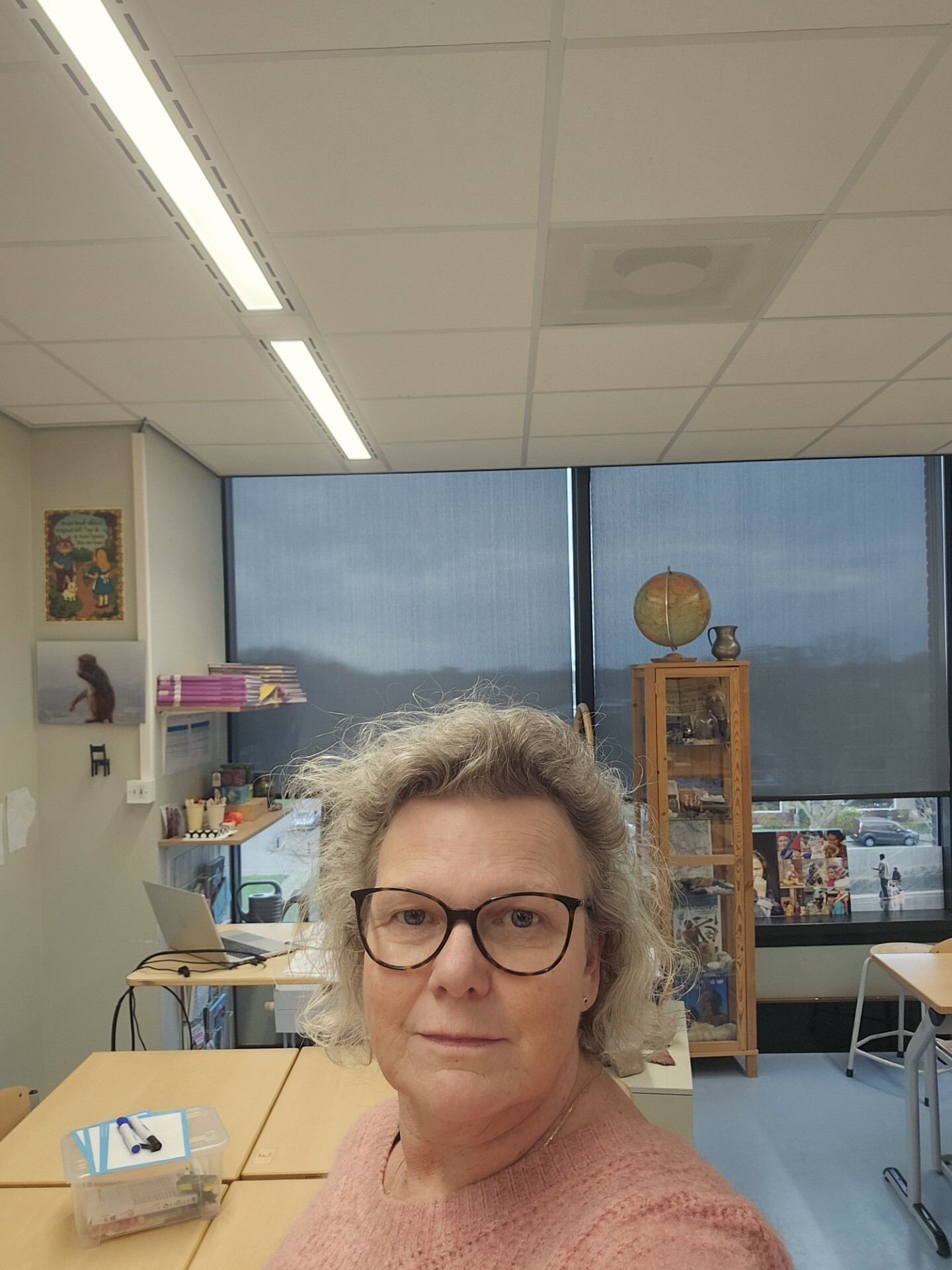 Portret ellen huizer